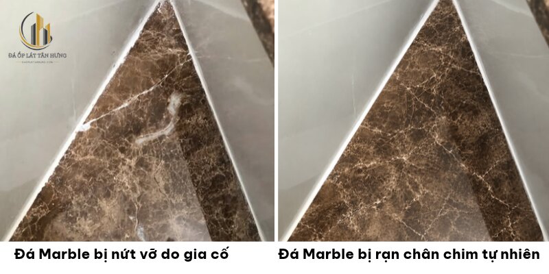 Hướng dẫn phân biệt vết nứt gãy vỡ và đường vân rạn tự nhiên